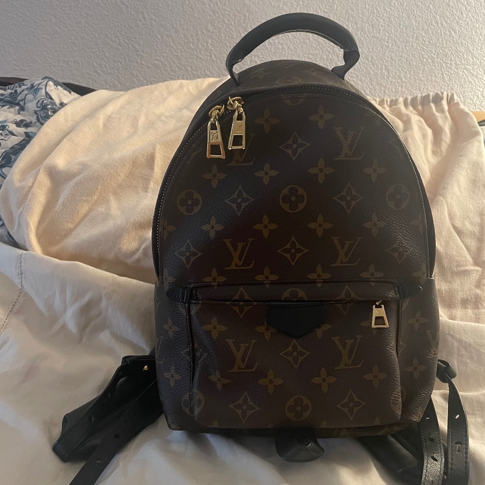 Louis Vuitton Monogram Canvas Palm Springs Backpack PM size